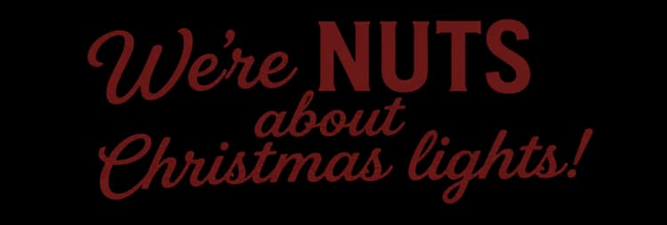 We're nuts about Christmas lights!
